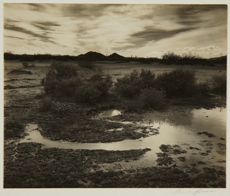 Landscape Near Phoenix Arizona X1971 97