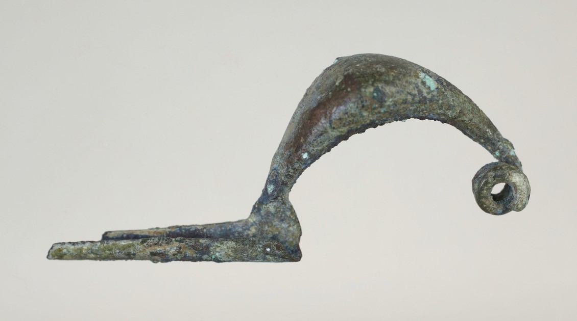 Fibula (y1964-168)