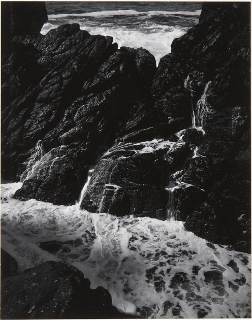 Vicinity of North Wall, Point Lobos State Park, California (x1994-151.3)