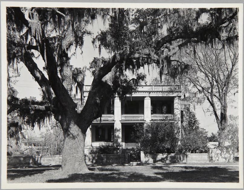 two-story-house-with-a-tree-in-front-2006-634