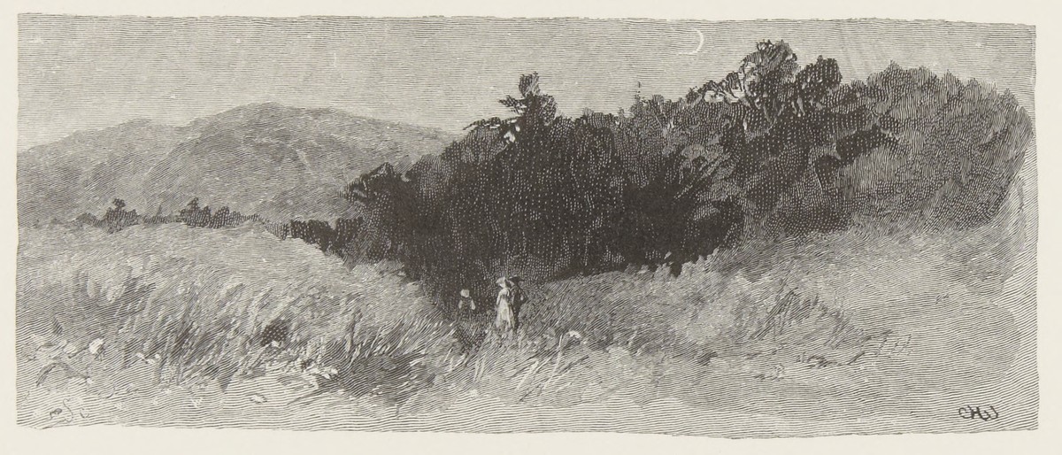 Landscape, by C.H.W. (x1944-465)