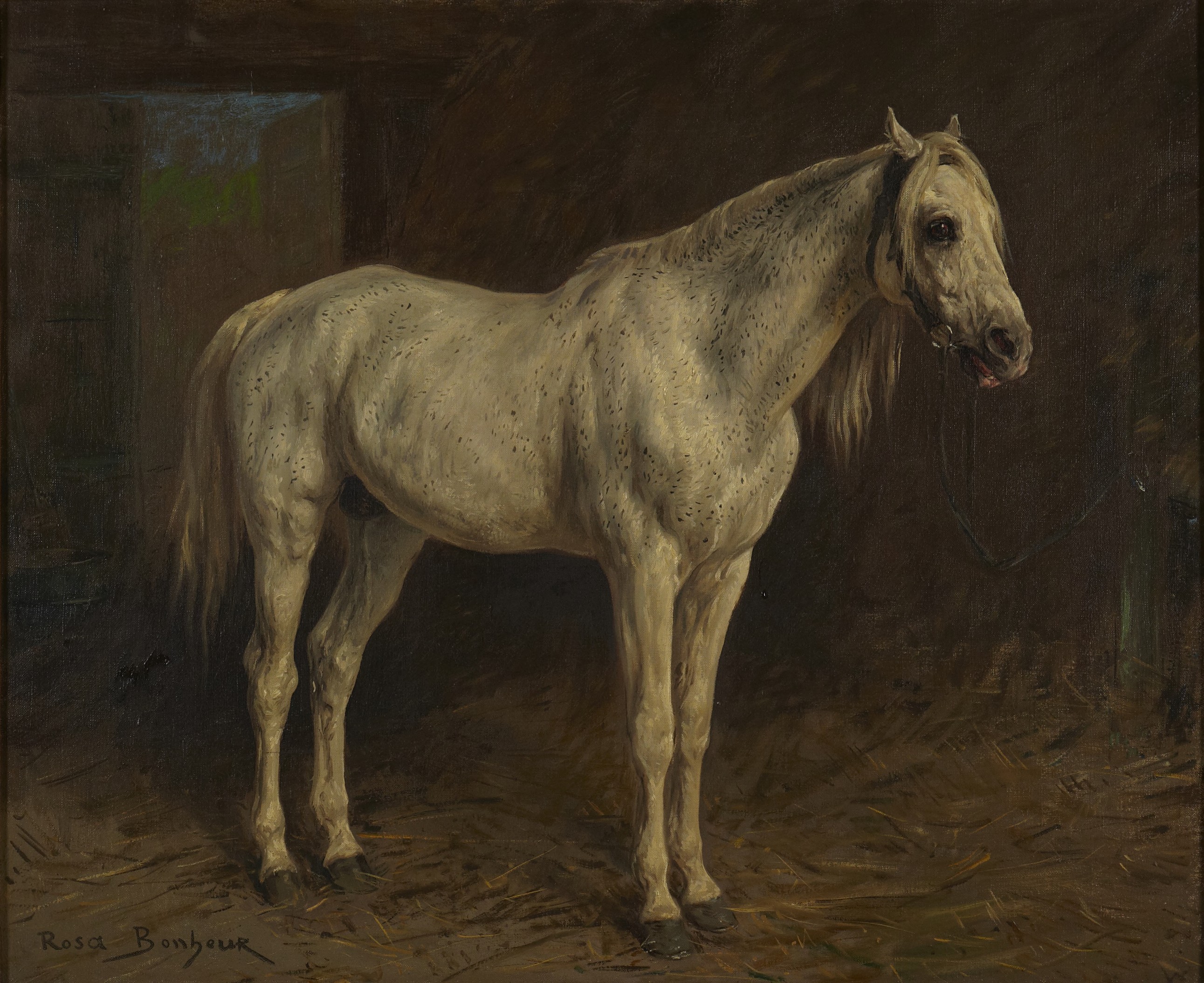 White Horse (y1969-107)