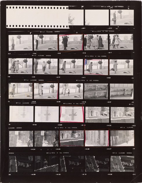 Contact sheet of negatives (L.2020.4.31)