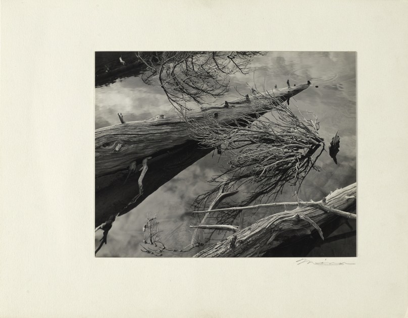 Vicinity of Lostine River, Wallowa Mountains, Oregon (x1980-303)