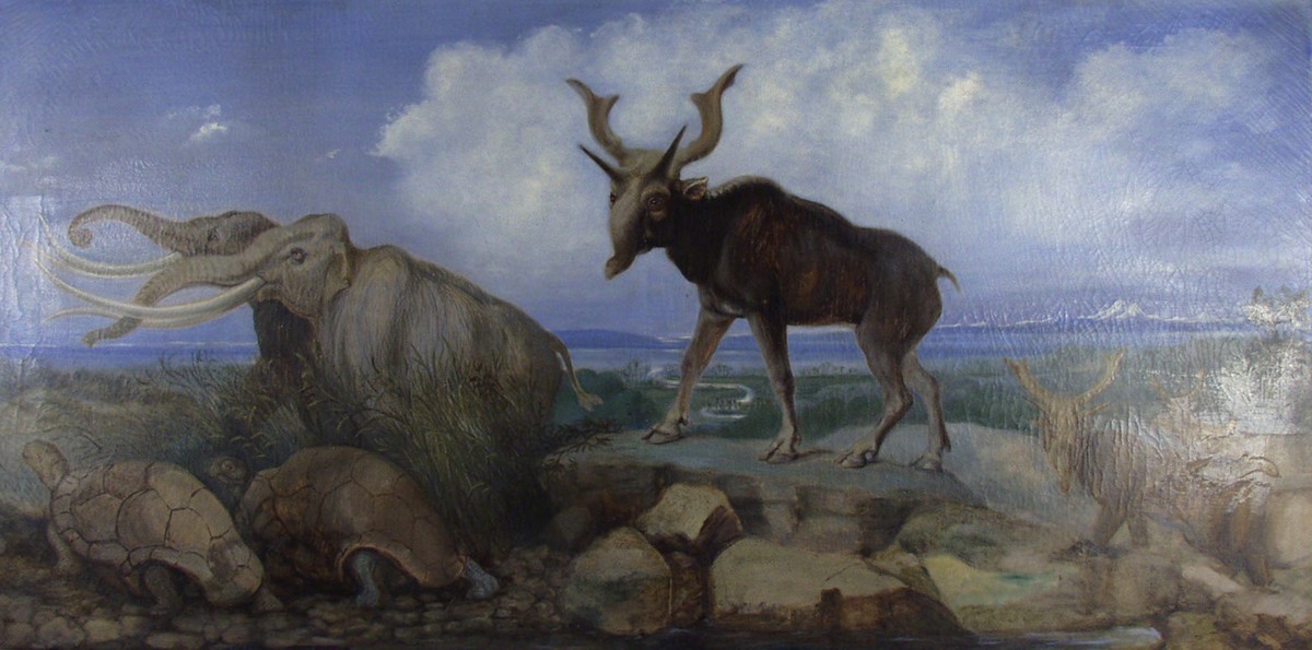 Pleistocene Fauna of Asia (PP339)