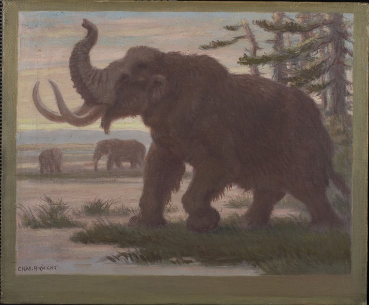 Pleistocene Epoch, New York (PP378.20)