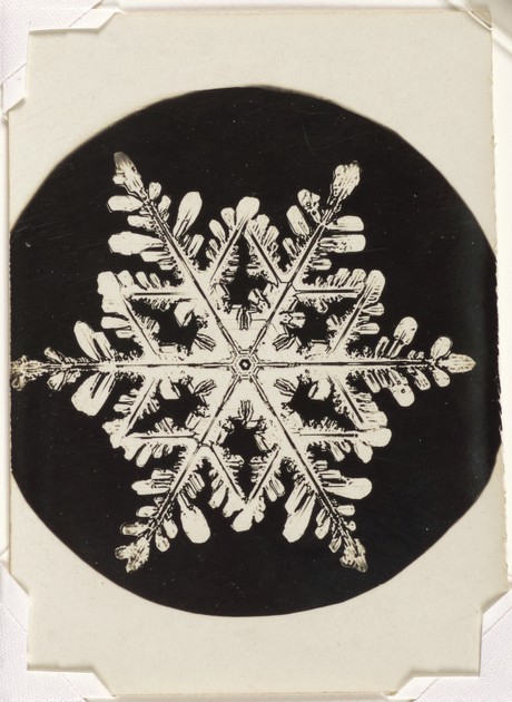 Untitled (snowflake) (2015-6718)