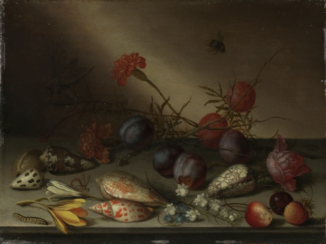 Still Life with Shells, Fruit, and Flowers (y1994-77)